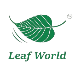 Logo 8